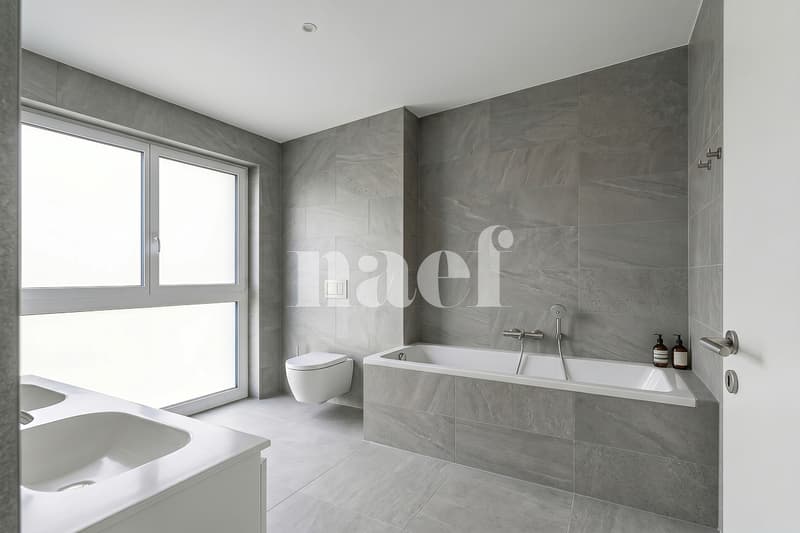 Lot C01 - Appartement en attique neuf de 6.5 pièces à vendre à Yvorne (8)
