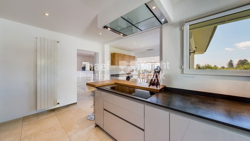 Magnifique villa individuelle de 6.5 pièces avec une vue exceptionnelle sur le lac et les montagnes à vendre à Blonay (6)