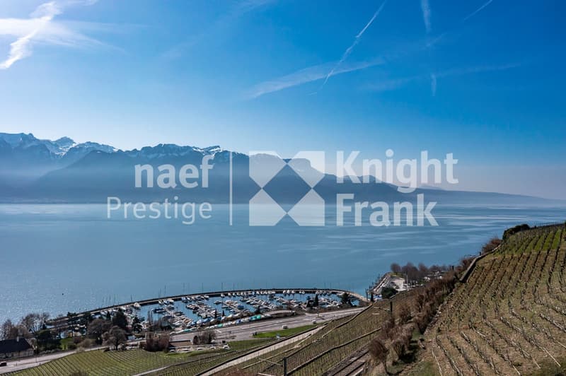 Appartement neuf en duplex de 7.5 pièces avec une vue exceptionnelle sur le lac (7)