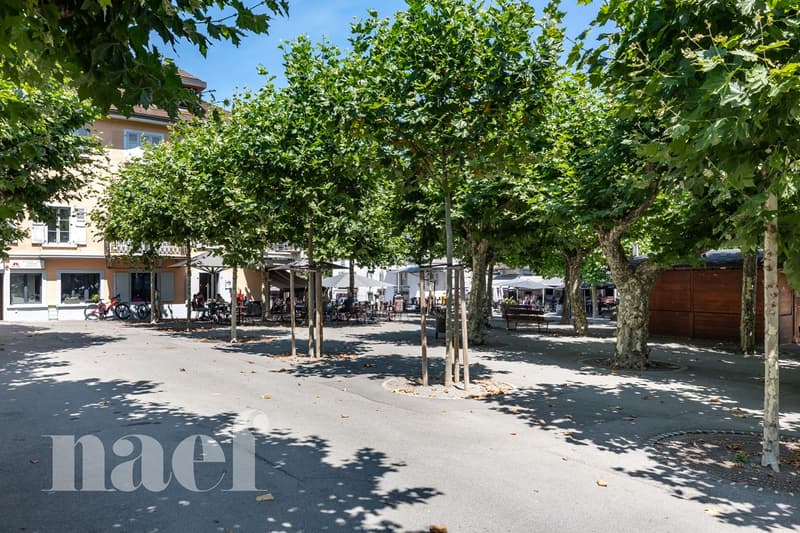Immeuble mixte composé d'une arcade et de 4 logements au centre ville de Monthey (8)