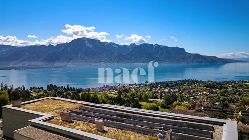 Appartement en attique de 4.5 pièces avec terrasse et vue grandiose sur le Léman à vendre sur les hauts de Montreux (4)