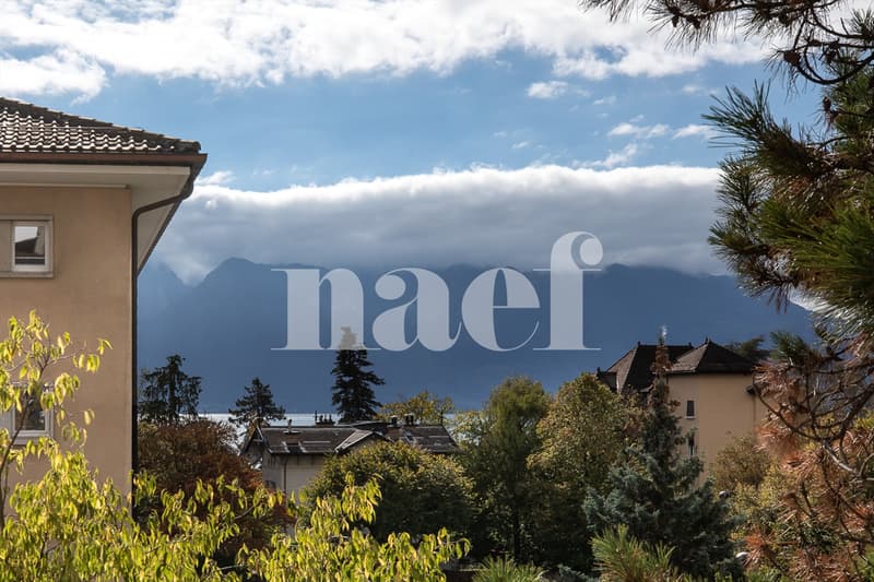 En exclusivité ! Lumineux appartement entièrement rénové de 4.5 pièces à vendre au coeur de Vevey (3)
