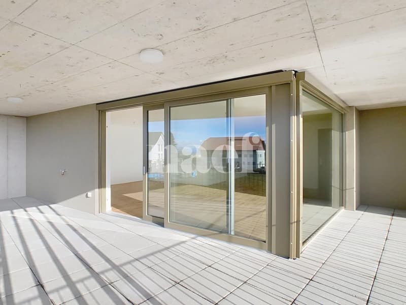 Appartement de 4.5 pièces neuf (5)