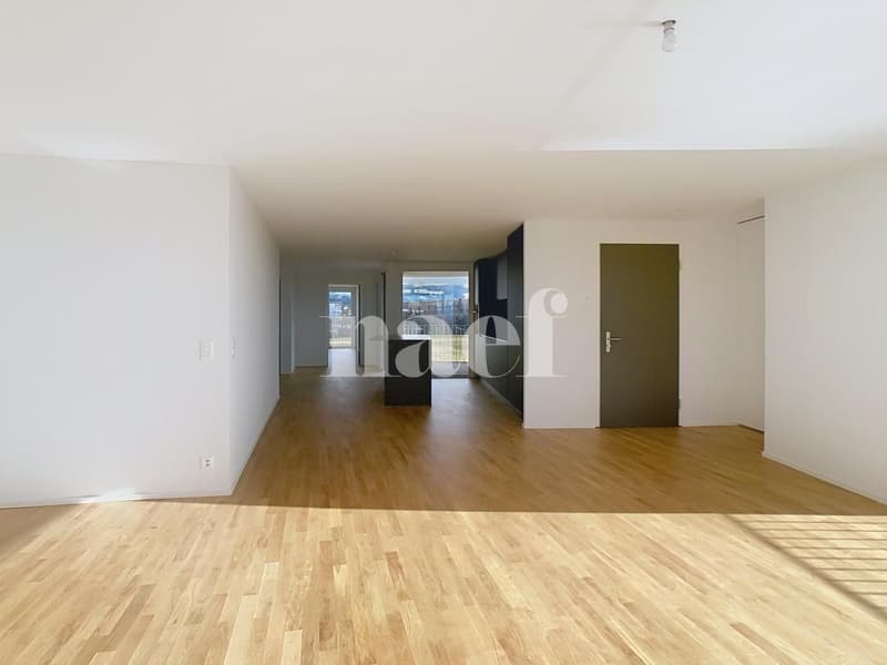 Appartement de 4.5 pièces neuf (8)