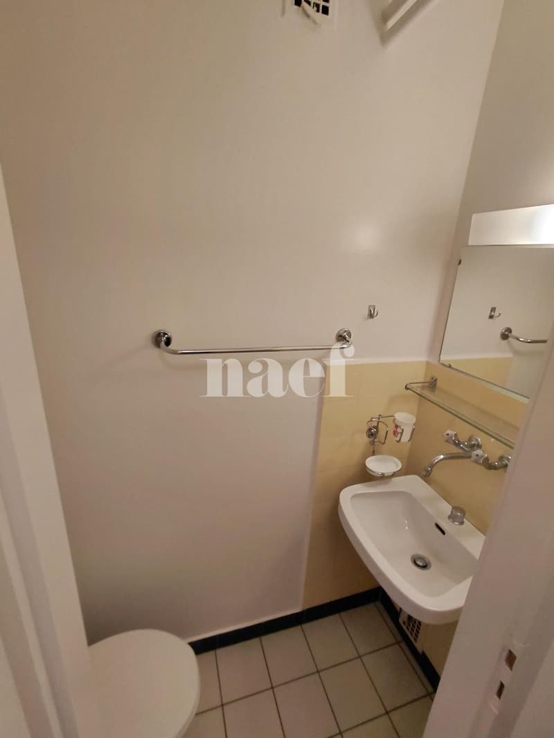 Local au rez-inférieur d'un immeuble locatif (6)