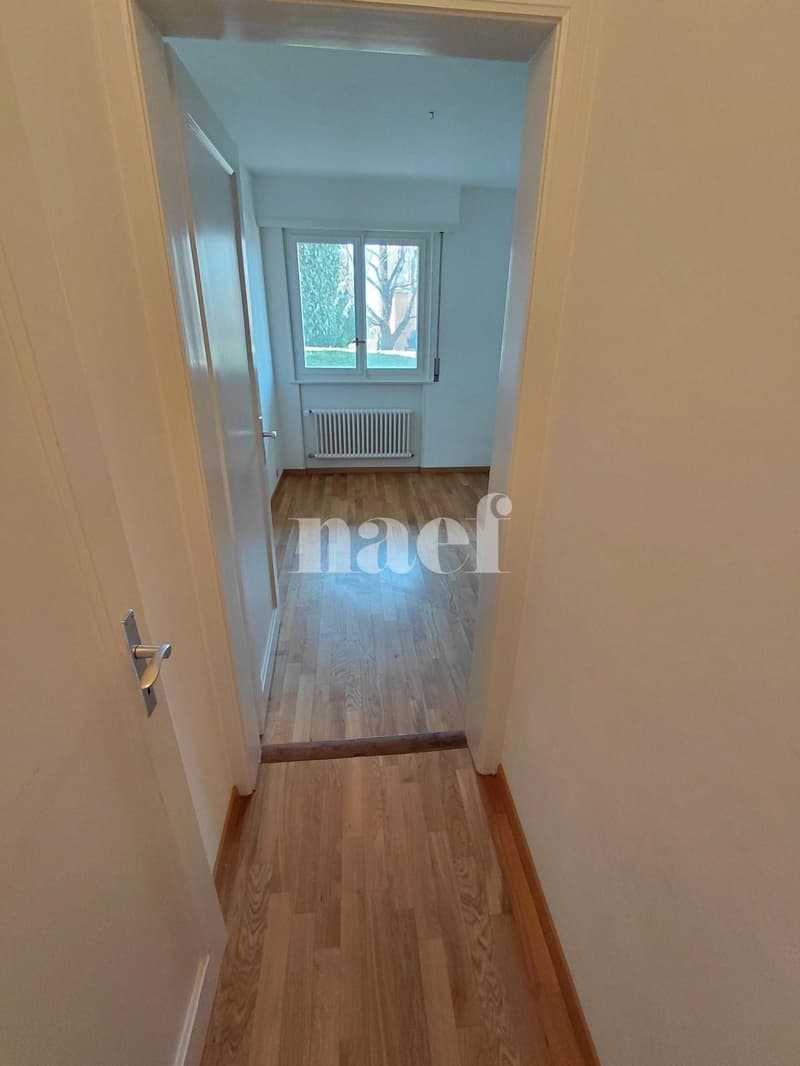 Local au rez-inférieur d'un immeuble locatif (4)