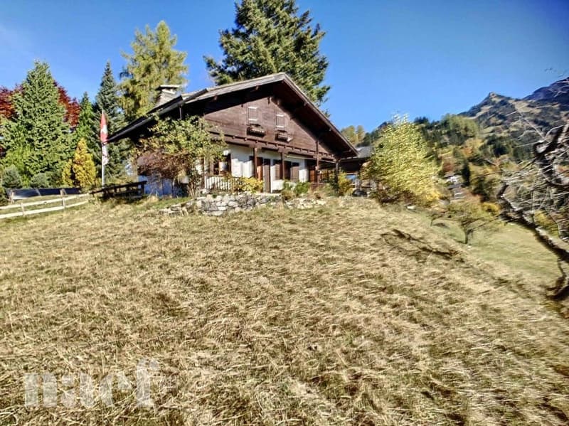 Magnifique Chalet de 4.5 pièces avec vue aux montagnes (2)