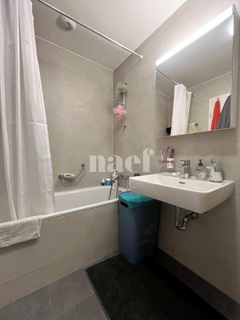 Spacieux logement dans construction récente, au centre-ville (5)