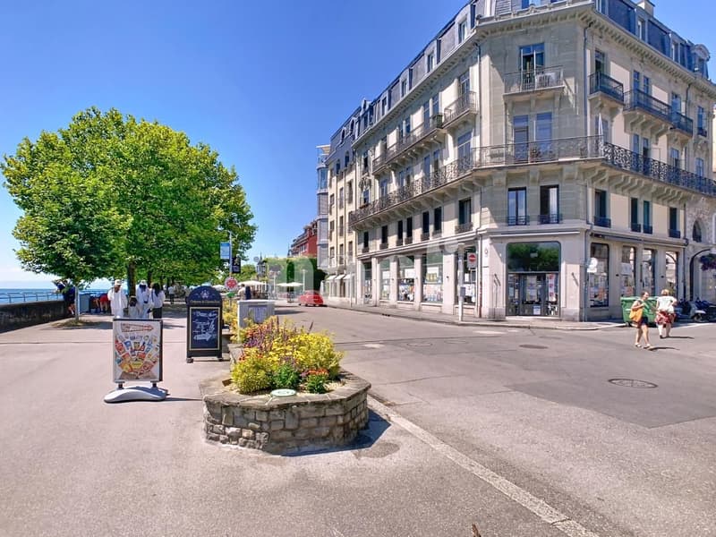 Adresse emblématique au bord du lac (2)