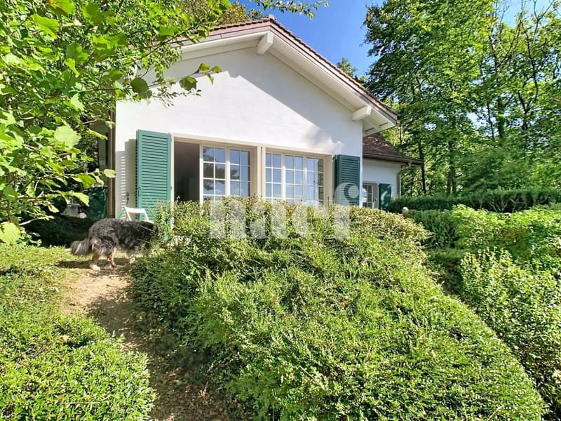 Maison de 5.5 pièces avec jardin (1)