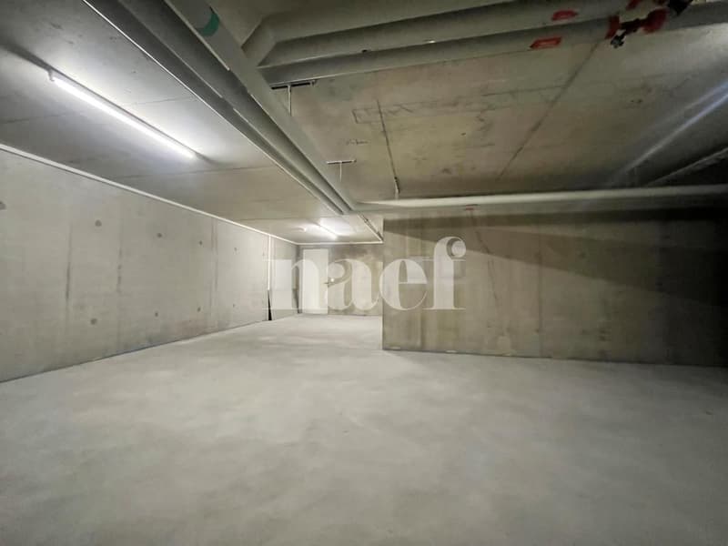 Dépôt au centre de Monthey (4)