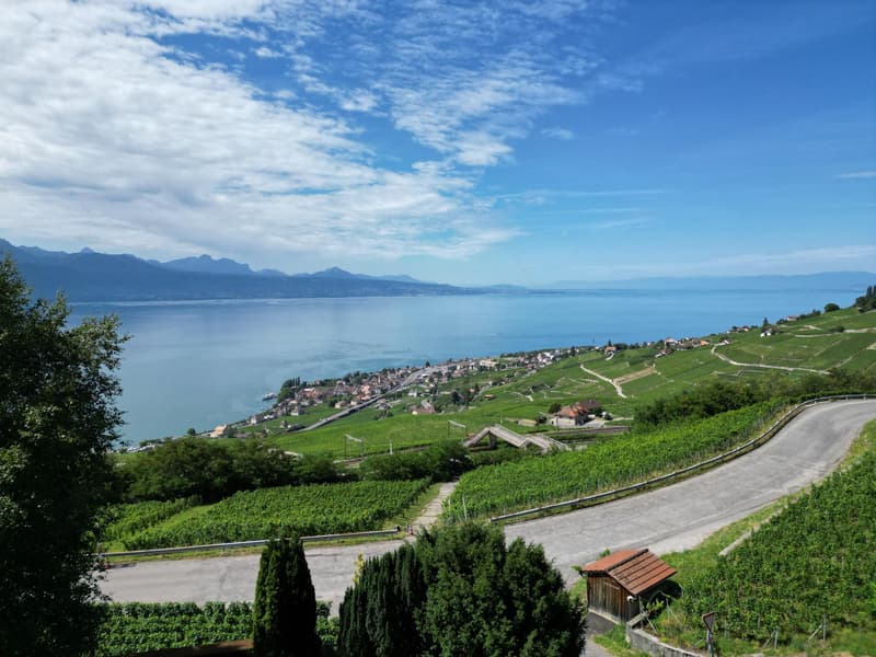 Au coeur des vignes : Villa avec une vue panoramique. (2)
