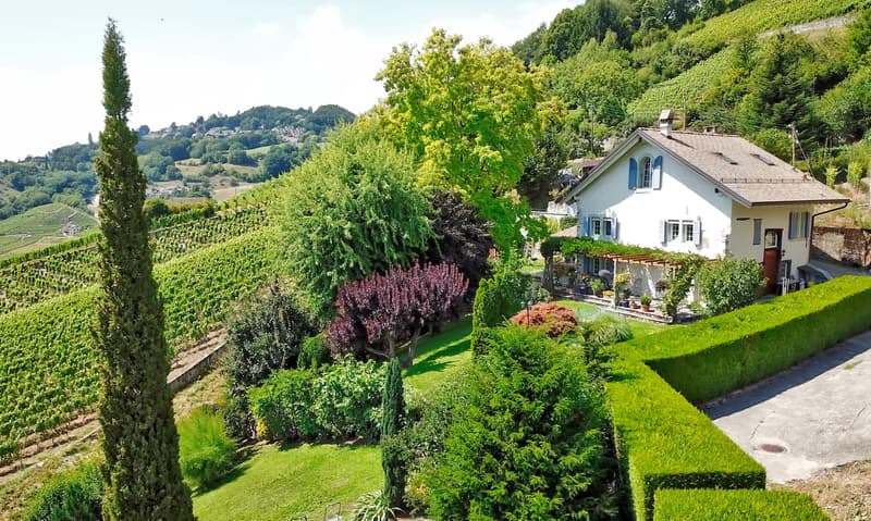 Au coeur des vignes : Villa avec une vue panoramique. (7)