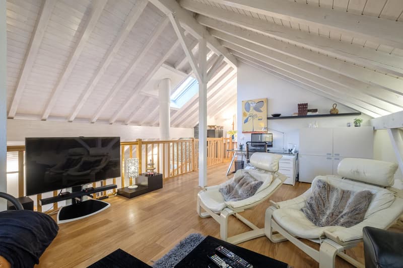 Spacieux duplex en attique de 330 m² entièrement rénové (11)