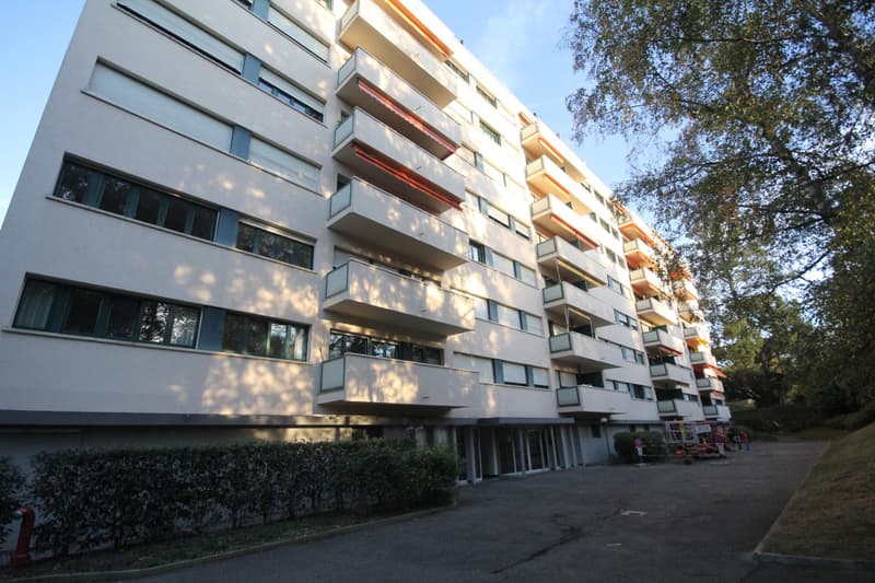 Bel appartement à Versoix, 4 chambres et balcon (1)