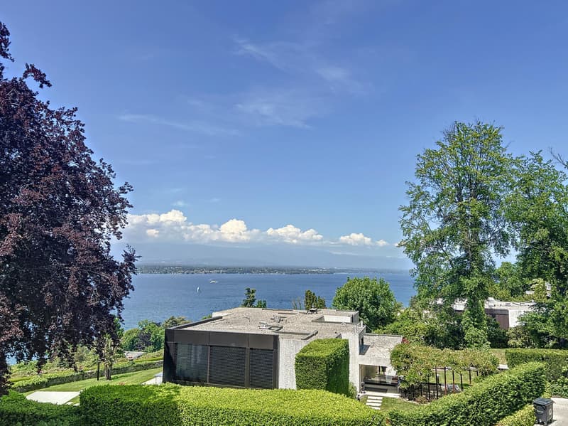Cologny - Magnifique appartement meublé de standing avec vue sur le lac (1)