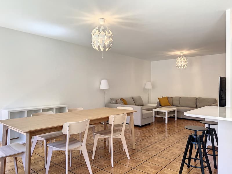 Champel - Très bel appartement meublé avec 3 chambres (1)