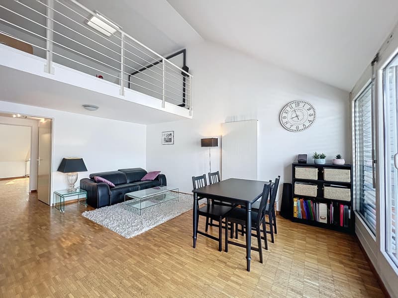 Superbe appartement meublé de 5 pièces, style loft (2)