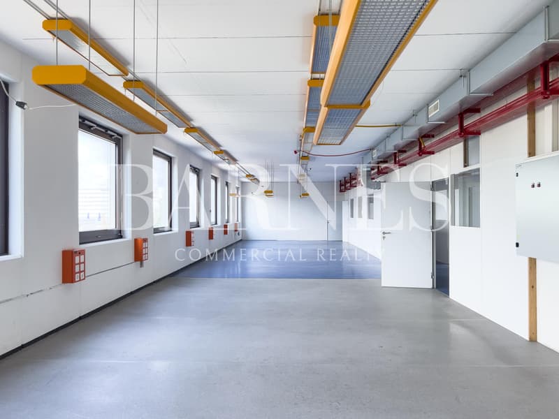 Laboratoire, production, atelier de 520 m2 à louer à Satigny (9)