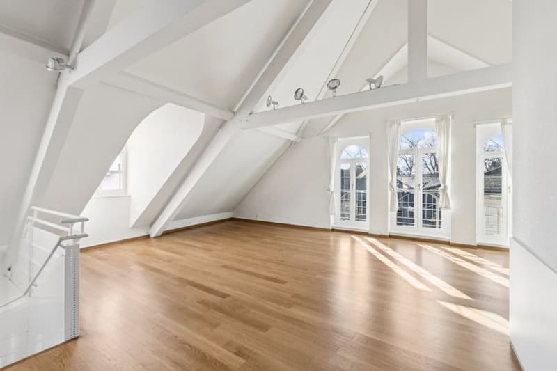 Magnifique duplex de 6 pièces au coeur du bourg d'Aubonne (5)