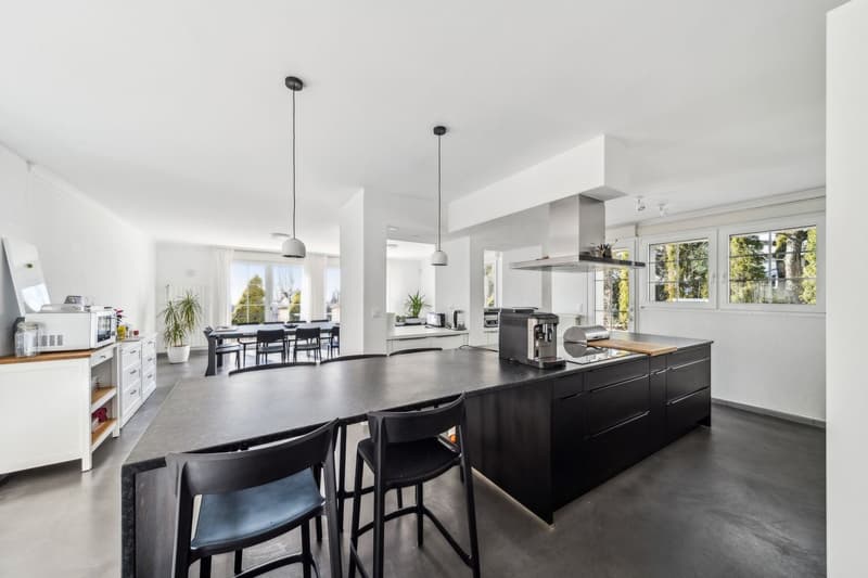Grande propriété familiale dans un quartier résidentiel (3)