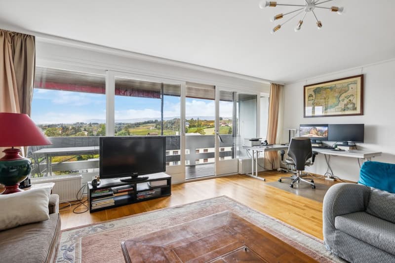 Spacieux appartement de 5.5 pièces avec vue magnifique sur la ville et (3)