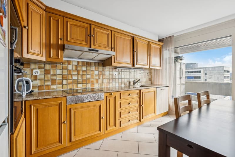 Spacieux appartement de 5.5 pièces avec vue magnifique sur la ville et (5)