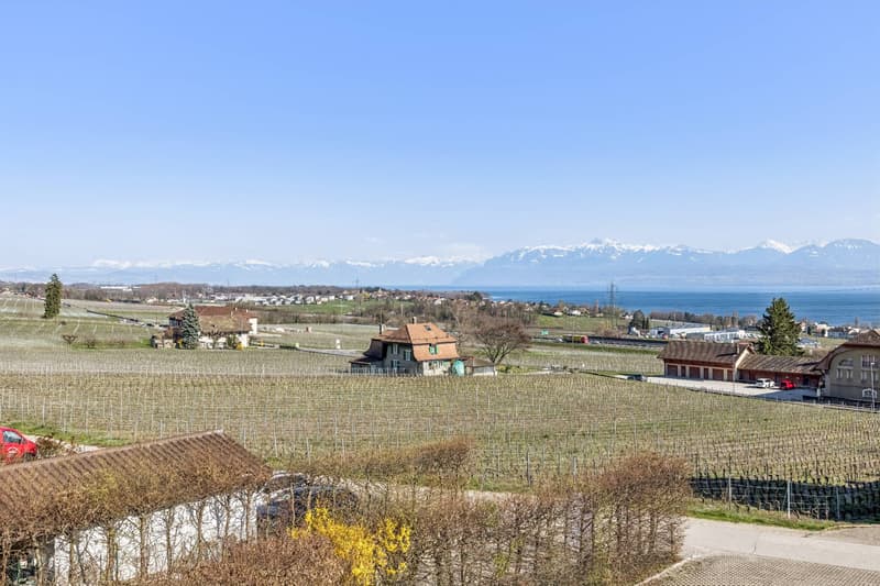 EXCLUSIVITÉ - Appartement familial de 4.5 pièces avec vue panoramique (12)