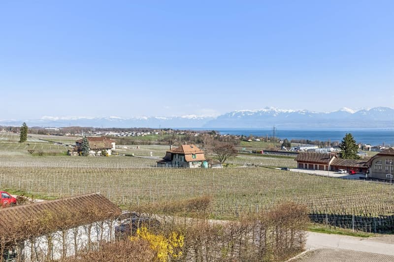 EXCLUSIVITÉ - Appartement familial de 4.5 pièces avec vue panoramique (12)