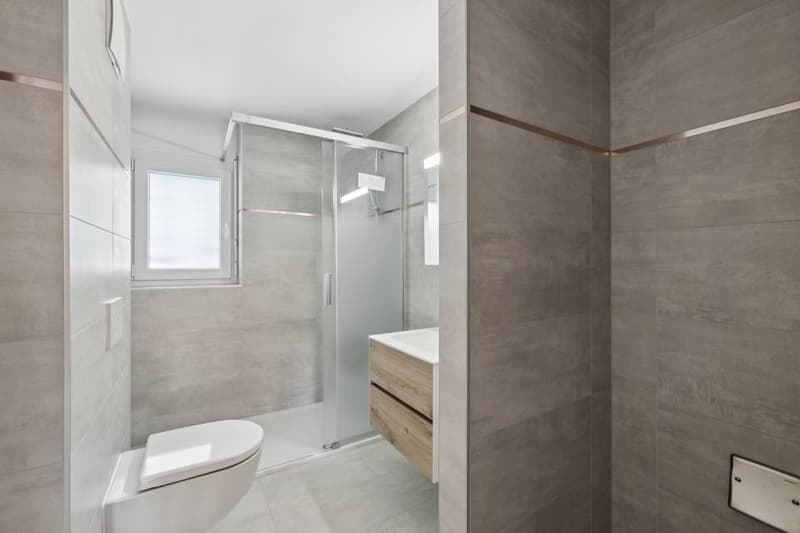 4.5 pièces contemporain et lumineux avec jardin et très belle vue sur (8)