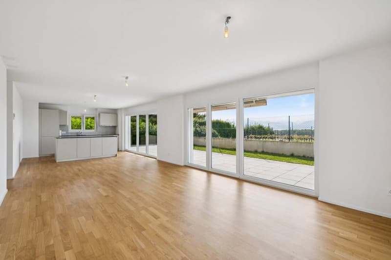 4.5 pièces contemporain et lumineux avec jardin et très belle vue sur (3)