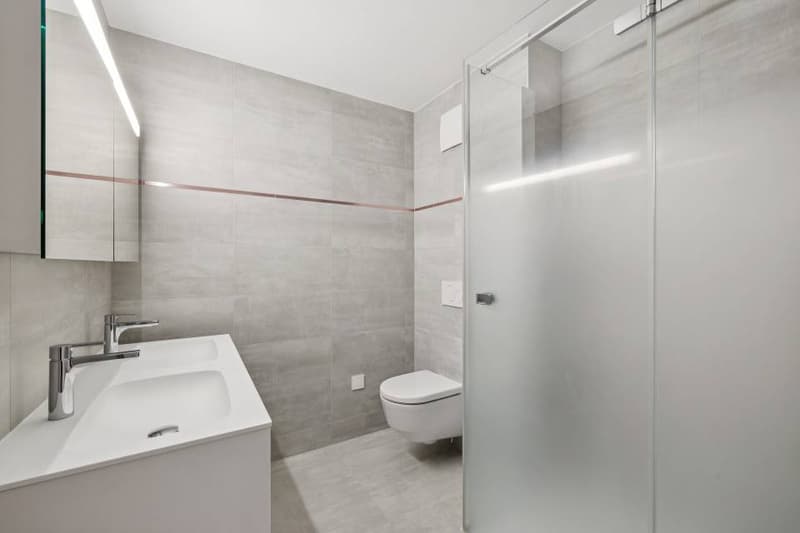 4.5 pièces contemporain et lumineux avec jardin et très belle vue sur (10)