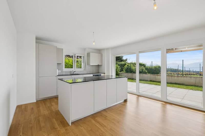 4.5 pièces contemporain et lumineux avec jardin et très belle vue sur (5)