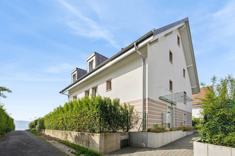 4.5 pièces contemporain et lumineux avec jardin et très belle vue sur (13)