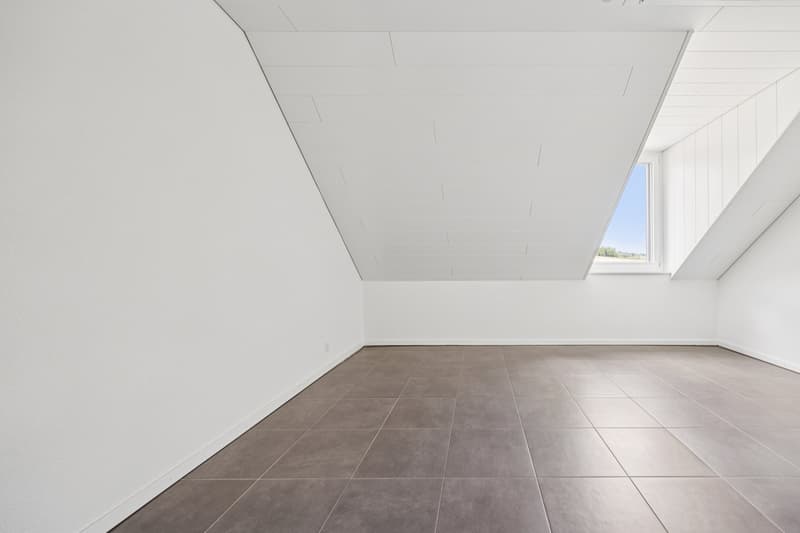 Appartement en duplex de 4,5 pièces (6)