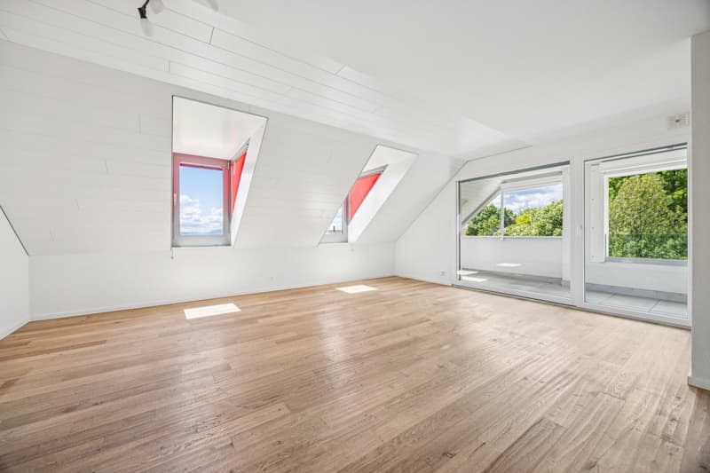 Appartement en duplex de 4,5 pièces (3)