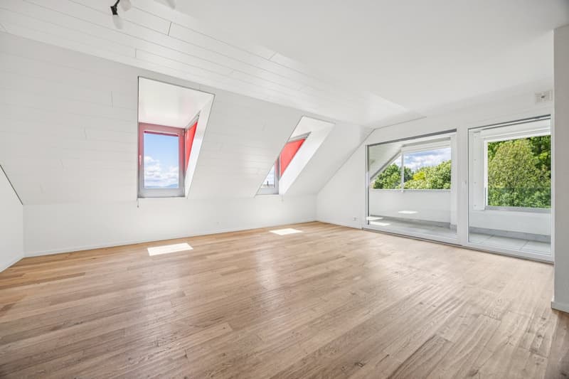Appartement en duplex de 4,5 pièces (3)