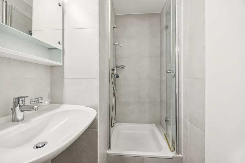 Appartement en duplex de 4,5 pièces (9)