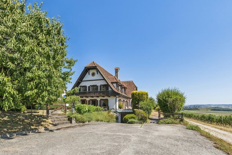 Maison de village avec vue Lac et Mont Blanc (2)