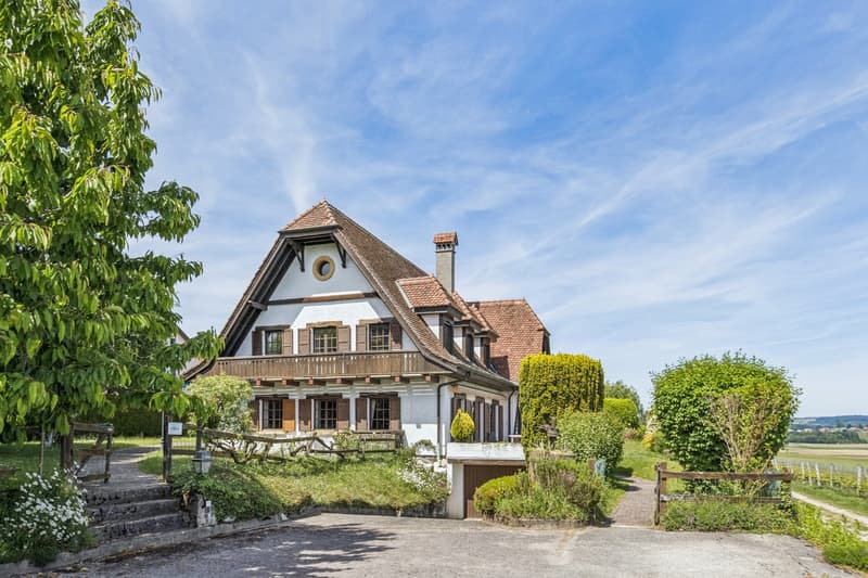 Maison de village avec vue Lac et Mont Blanc (6)