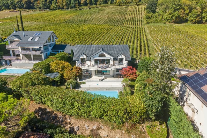 Villa individuelle entre vignes et lac (2)