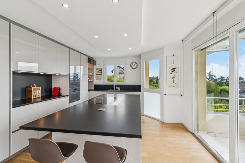 Exclusivité! Somptueux appartement avec vue panoramique (8)