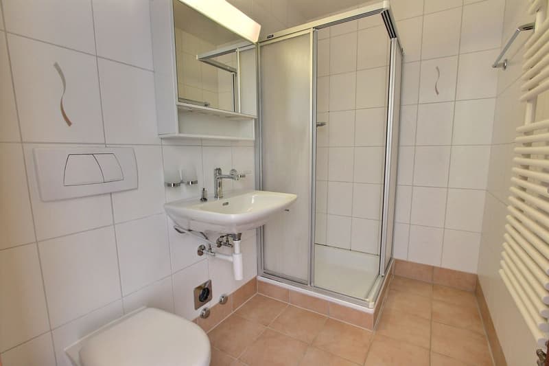 Spacieux appartement de 4,5 pièces (8)