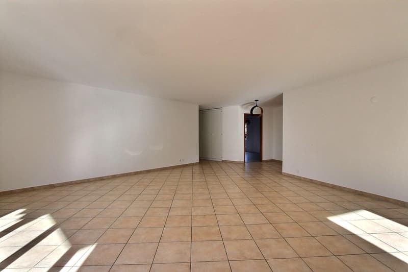 Spacieux appartement de 4,5 pièces (6)