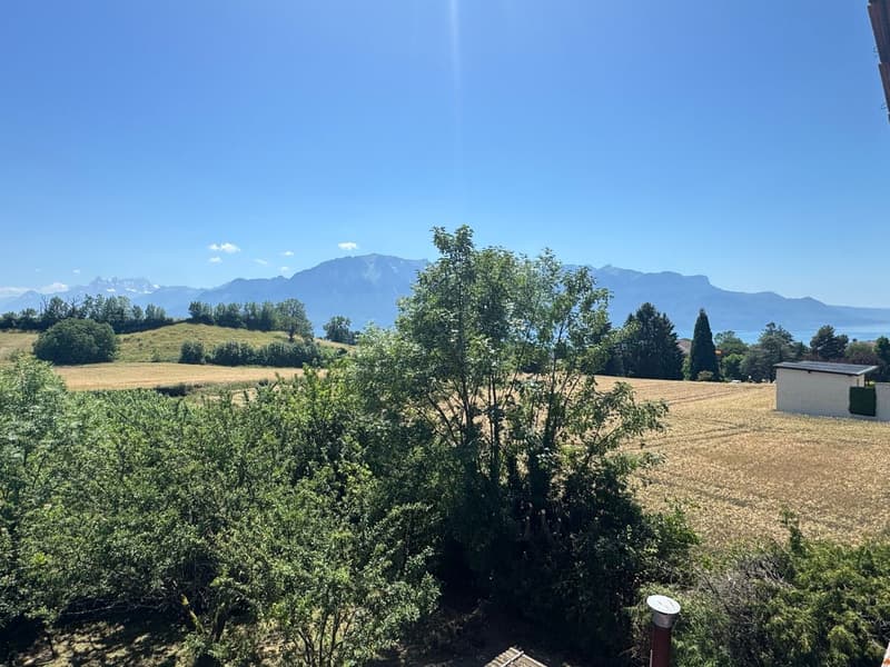 Joli chalet de 4-5 pièces avec vue sur le lac et les Dents-du-Midi (6)