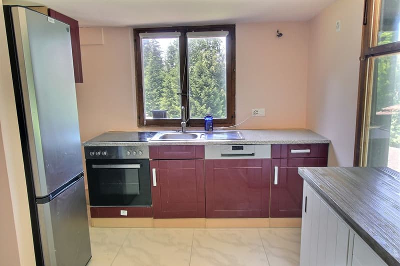 Chalet composé de 2 logements (5)