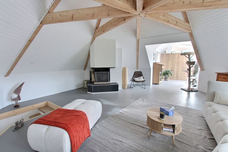 Spacieux logement dans les combles, entièrement rénové (3)