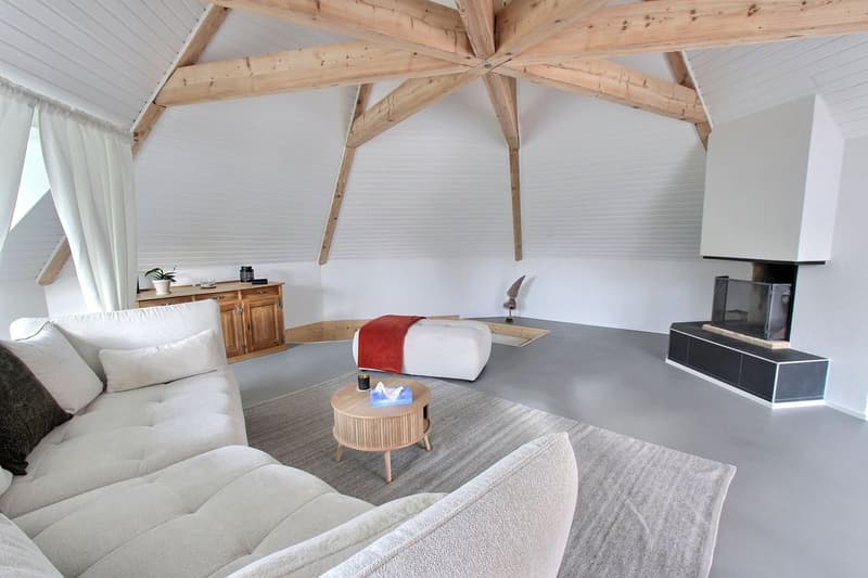 Spacieux logement dans les combles, entièrement rénové (4)