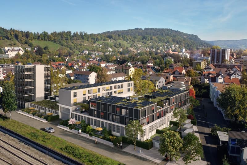 Neubauprojekt Rütschi+ 5.5-Zimmer-Patiohaus, Raumhöhen 2.70 bis 3.10 Meter mit Gartensitzplatz und Patiohof (1)