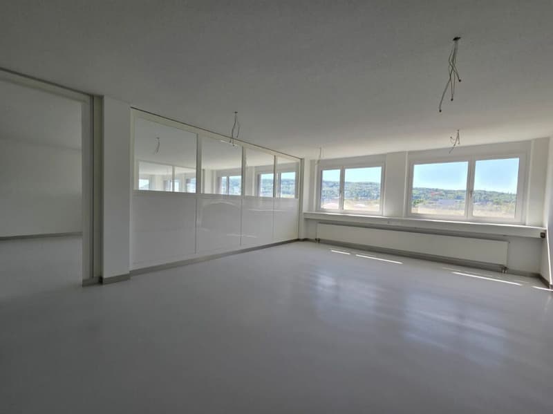 Representative office and commercial spaces with excellent transport links (3)